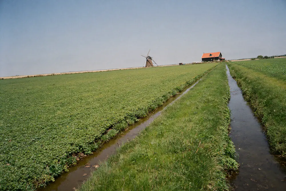 Vlak Noord-Hollands polderlandschap met een sloot, weilanden en in de verte een molen en een boerderij